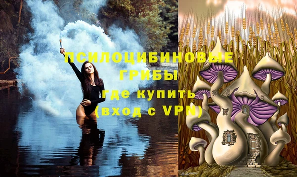бутират Баксан