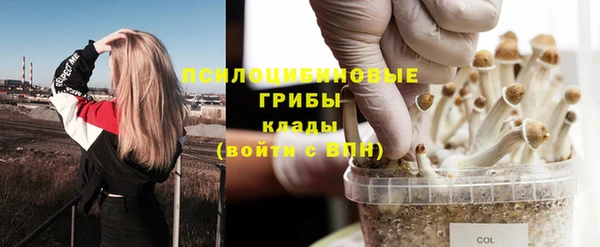 бутират Баксан