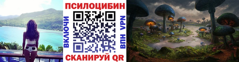 Галлюциногенные грибы Psilocybine cubensis где продают Бирюсинск